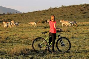 safari-biking-bici-5