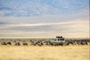 safari-la-gran-migracion-serengueti-11