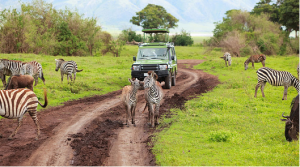 arusha-national-park2