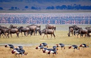 lake-manyara