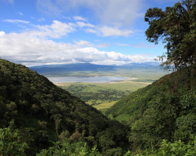 Ngorongoro Highlands